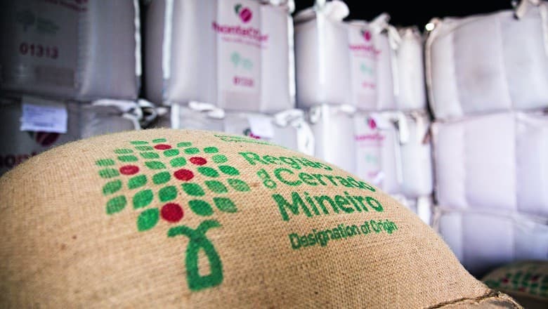 Chuvas Interrompem Recolhimento de Café no Cerrado Mineiro