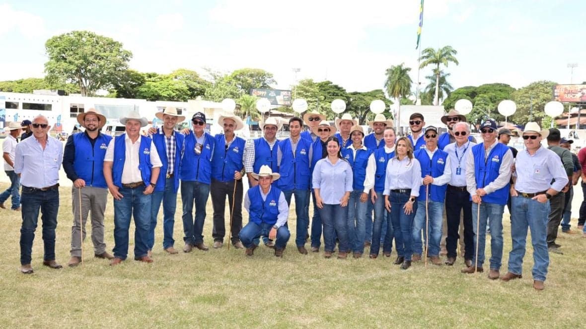 Expozebu 2026: campeões das raças zebuínas são anunciados