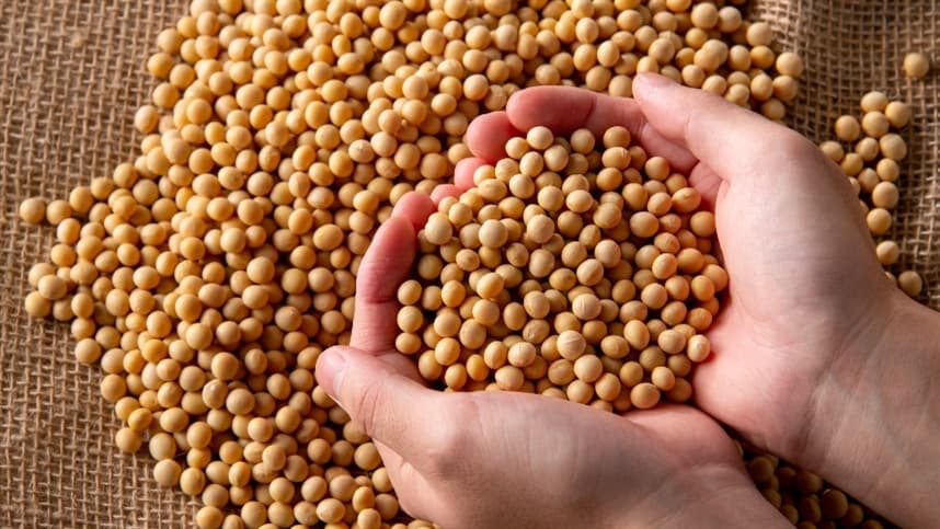 Mercados agrícolas mostram firmeza para trigo, soja e milho