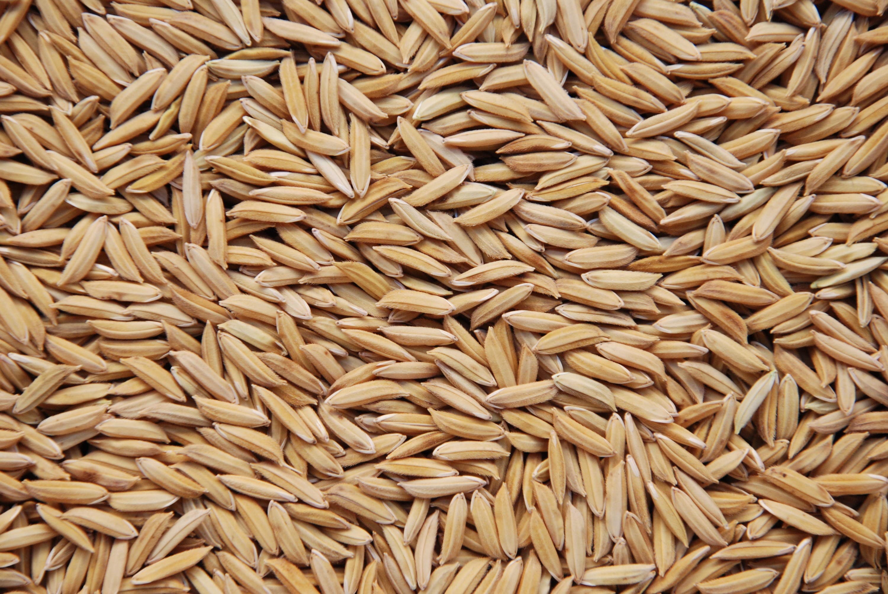Arroz em casca no Rio Grande do Sul tem alta nas cotações