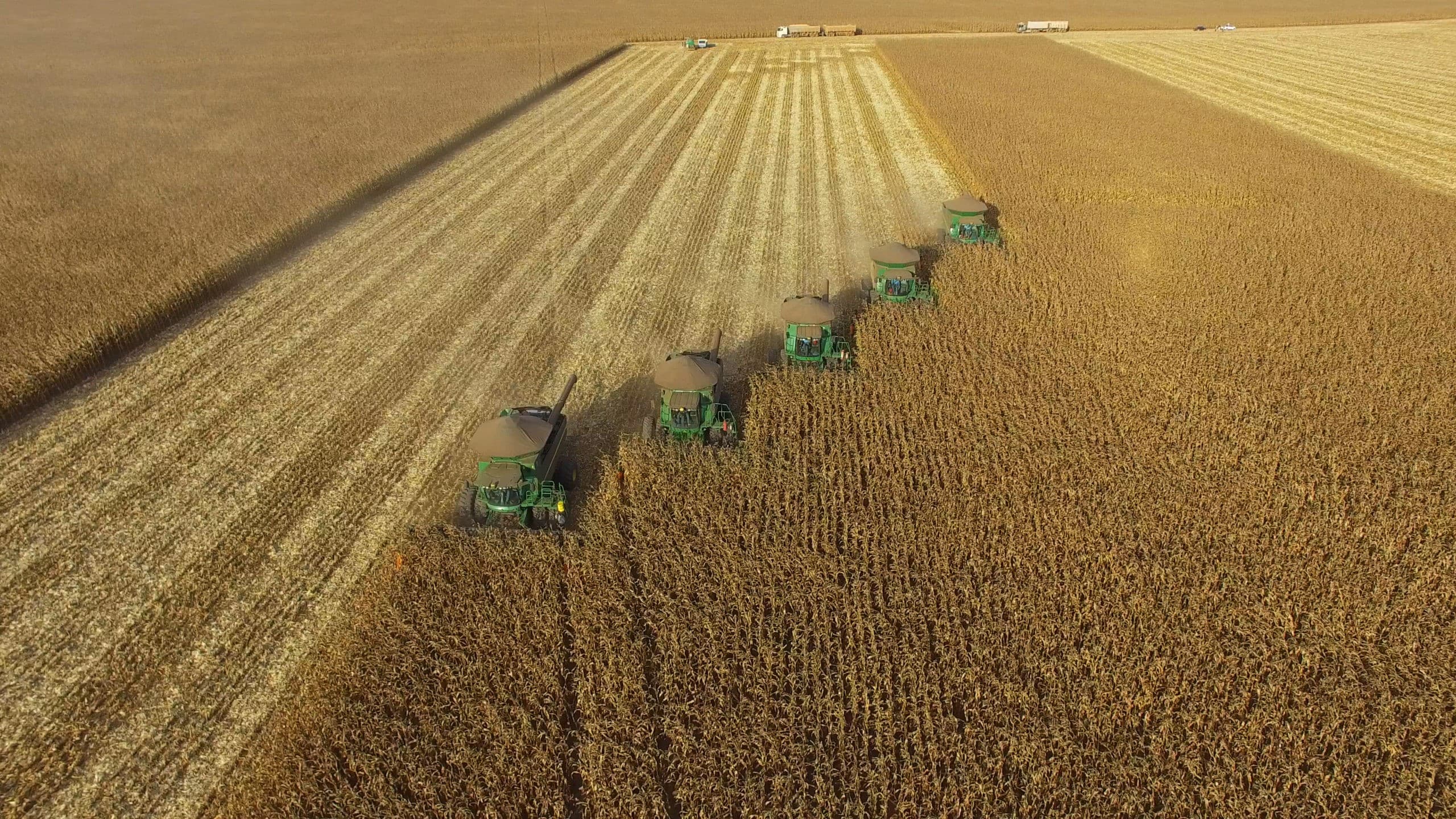 Endividamento de produtores rurais cresce e pode se agravar em 2027