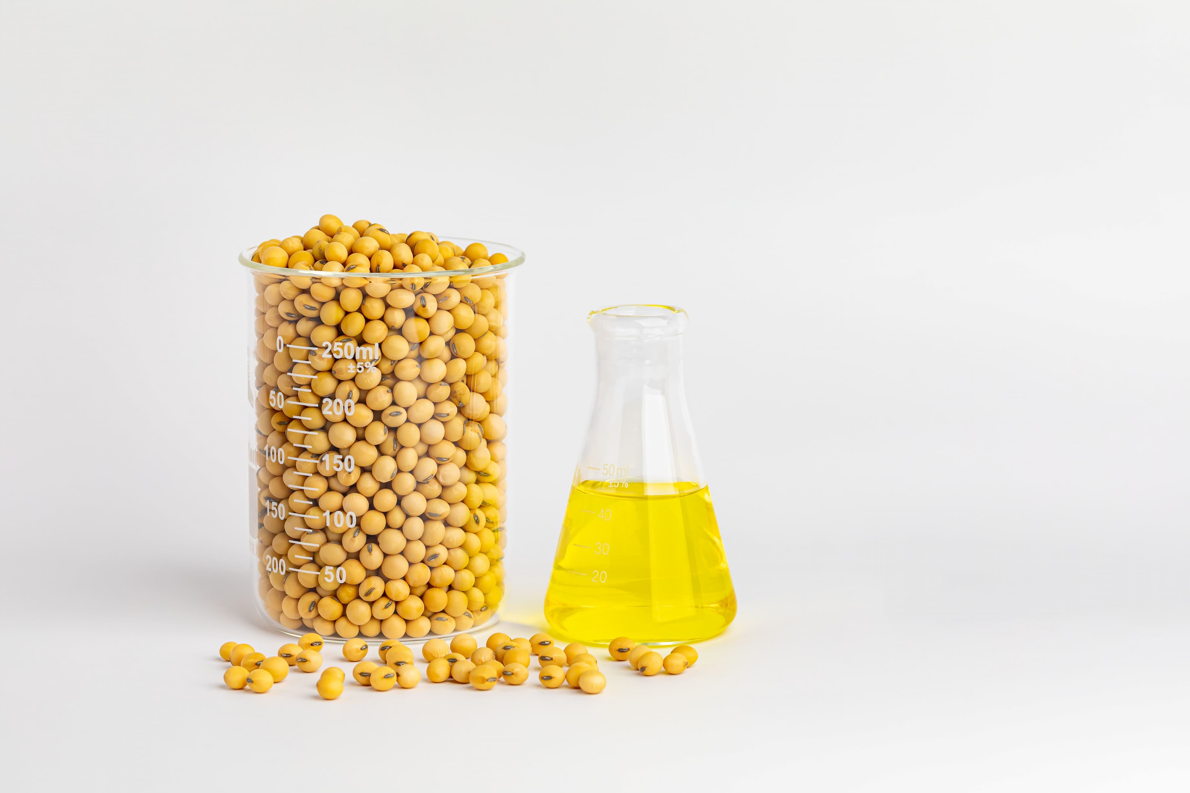 Biodiesel: Bancada ruralista pede flexibilização da ANP