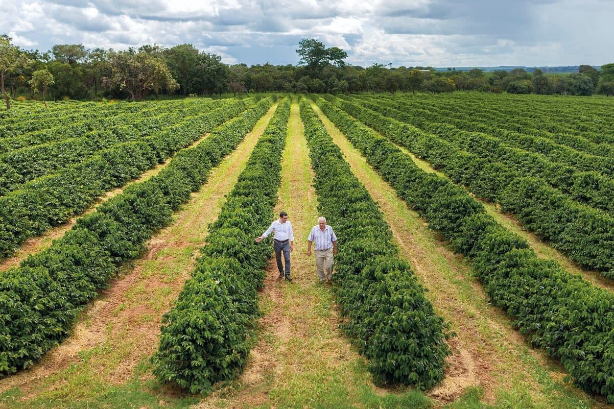 Fazenda Bom Jardim adota produção de café 100% orgânica em Franca