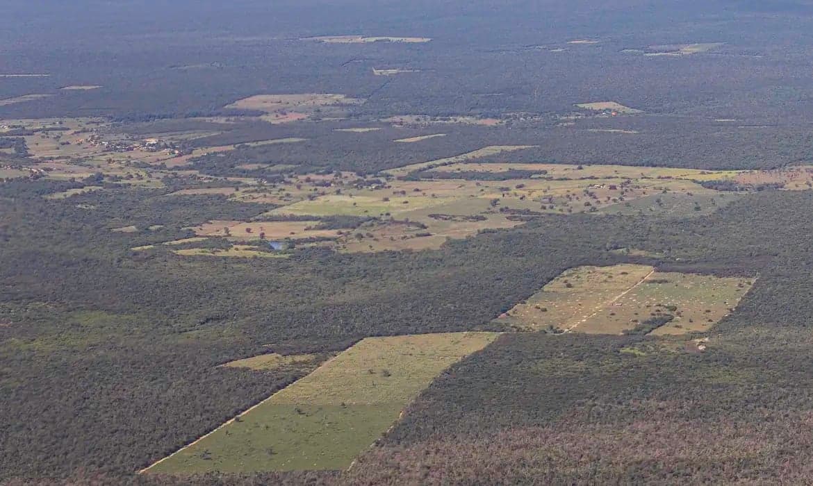 Mata Atlântica perde 10 milhões de hectares em 41 anos, diz MapBiomas