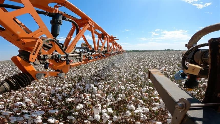 Tecnologia otimiza aplicação de reguladores no algodão da Bahia