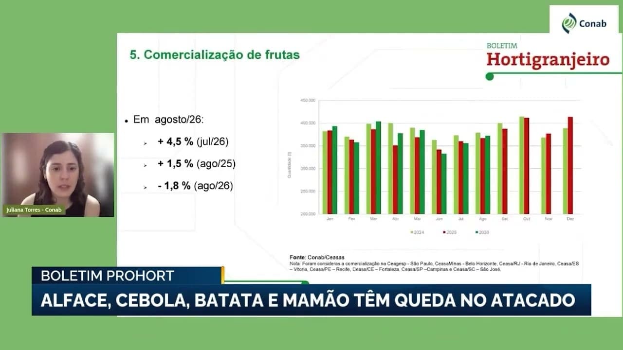 Preços da batata caem 11,6% em agosto, acompanhados por cebola e alface
