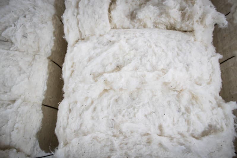 Cotações de algodão superam R$ 4 com avanços no mercado