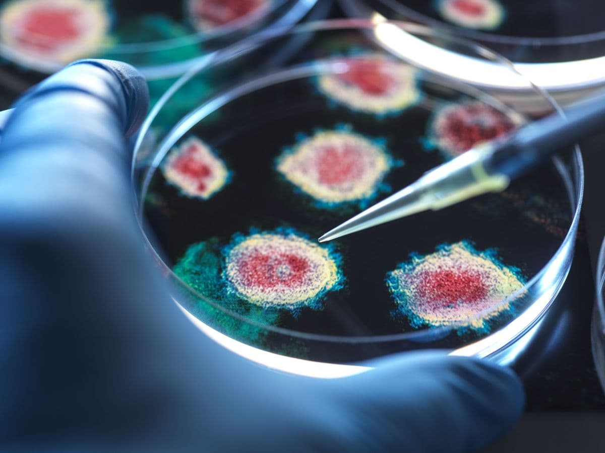 Especialistas alertam sobre eficácia das vacinas diante da variante BA.3.2 da Covid-19