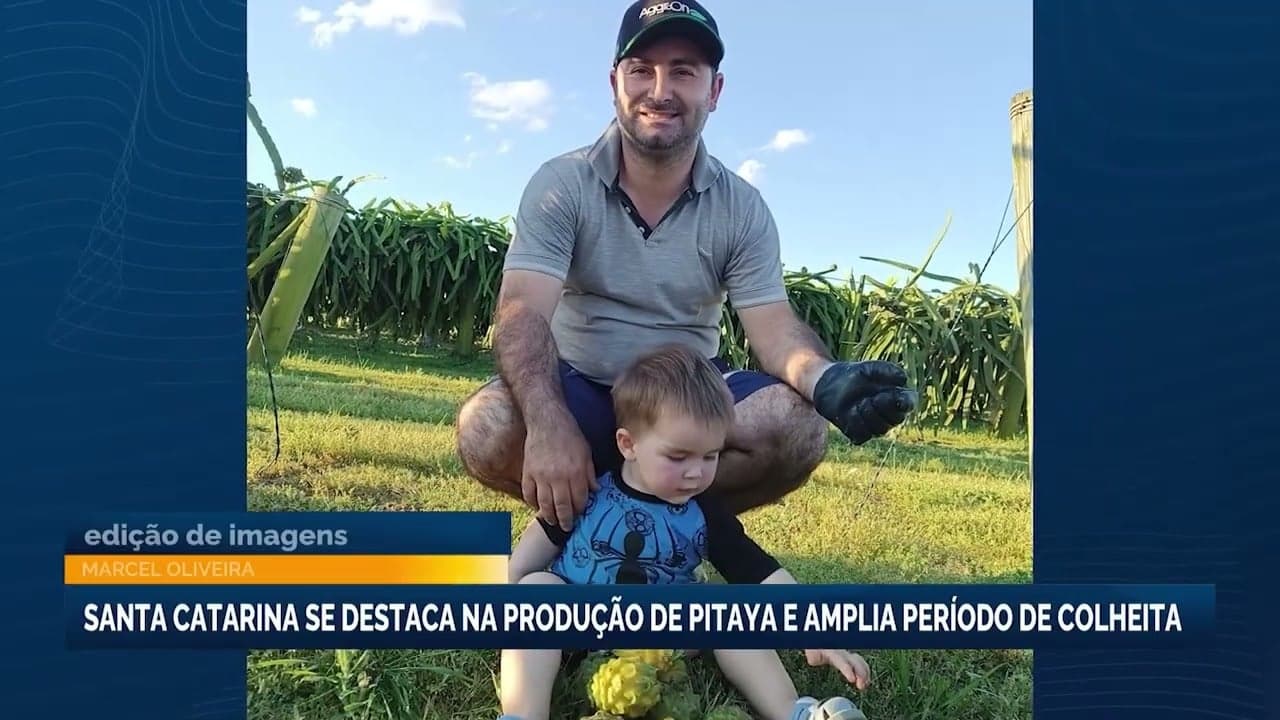 Santa Catarina é o segundo maior produtor de pitaya do Brasil
