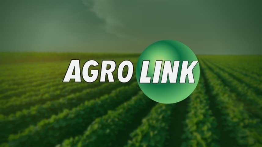 Agrolink é indicado ao iBest 2026 como referência no agronegócio