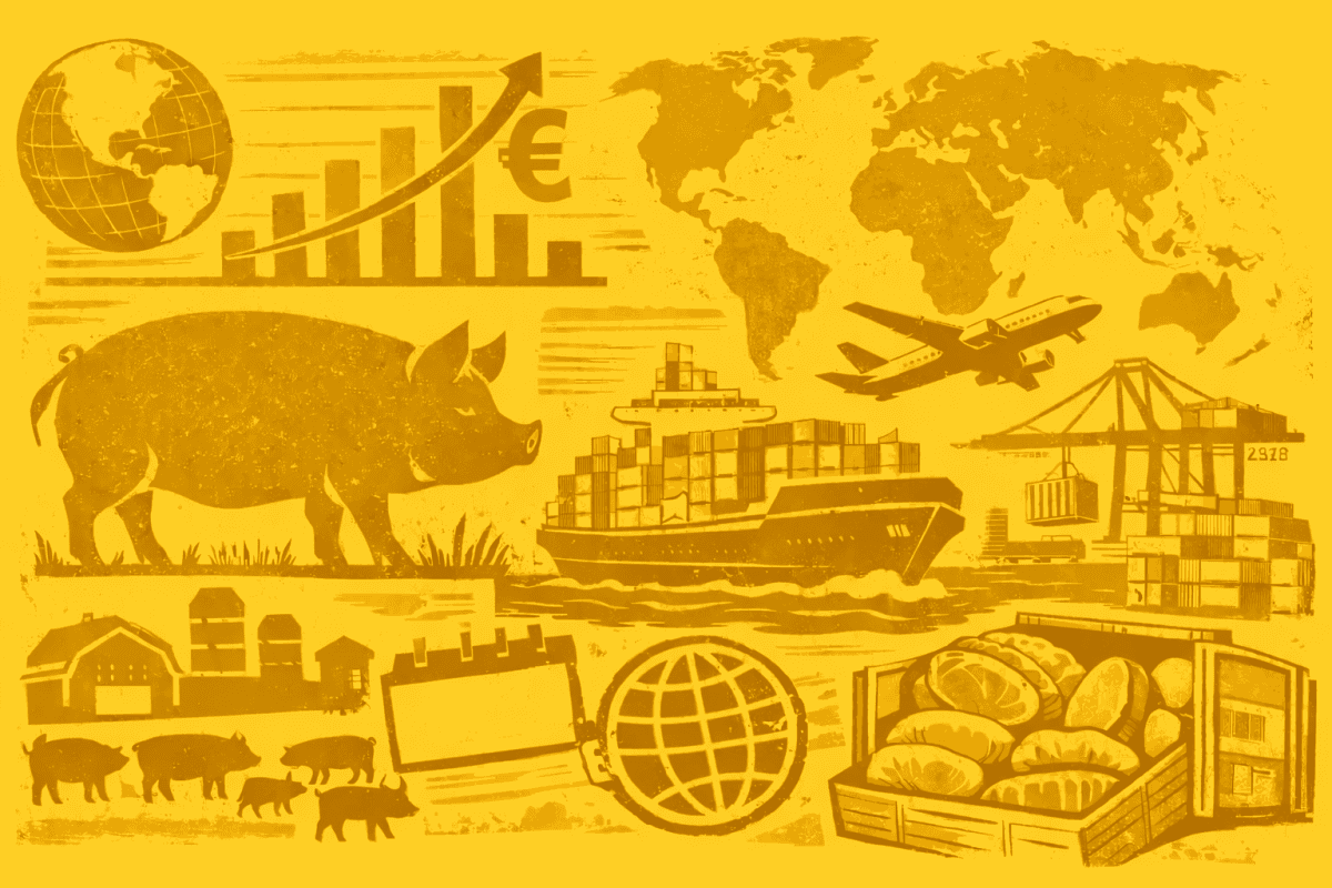 Secex estabelece regras para exportadores acessarem cotas a partir de novembro