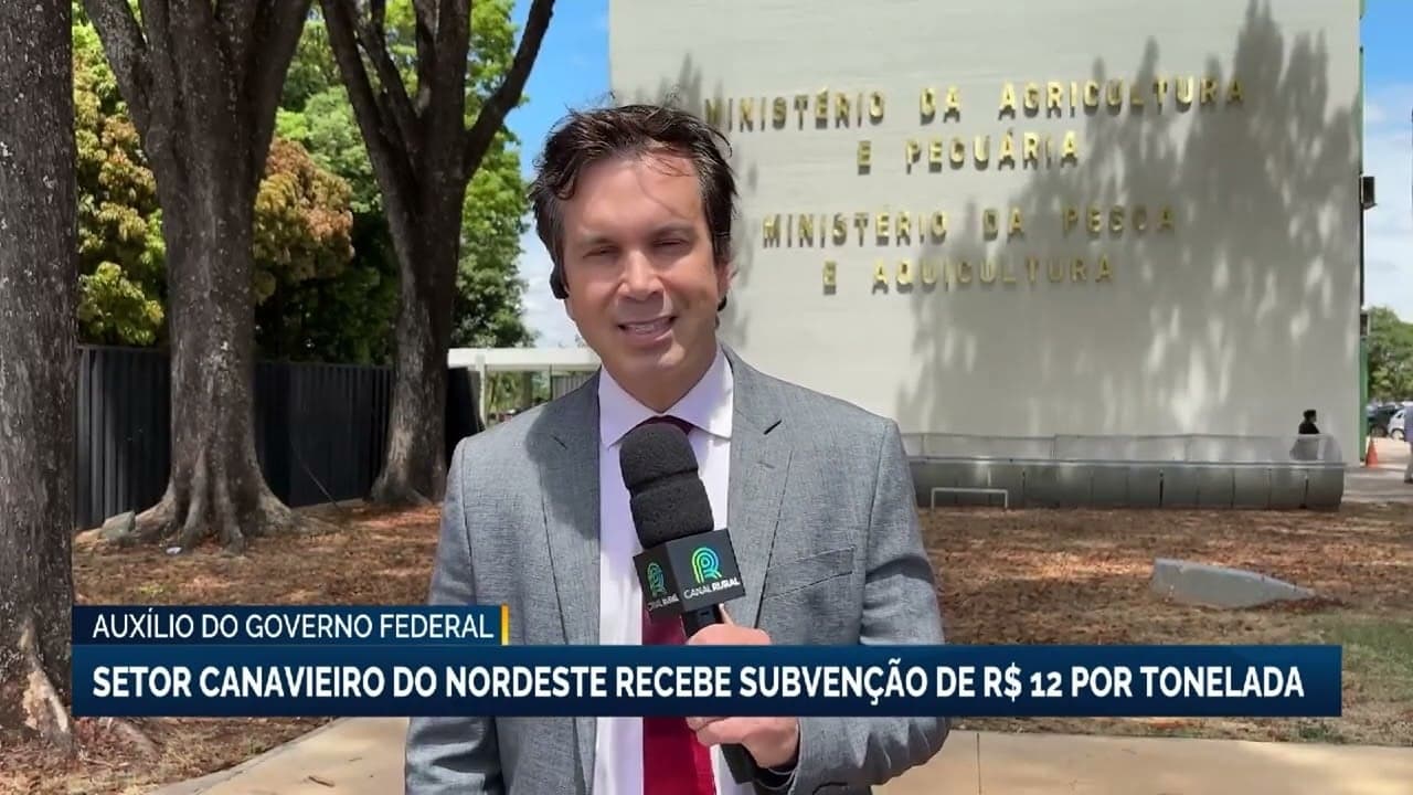 Ministério anuncia subvenção de R$ 12 por tonelada para cana no Nordeste