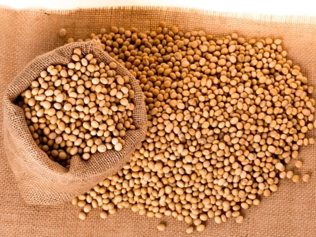 Sessão tranquila no mercado de soja impacta negociações no Brasil