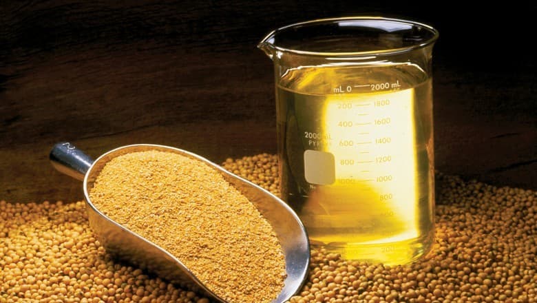Produção de soja no Brasil deve atingir 180,4 milhões de toneladas em 2026