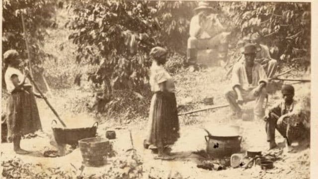 Cadernetas de poupanca revelam luta pela liberdade de escravizados