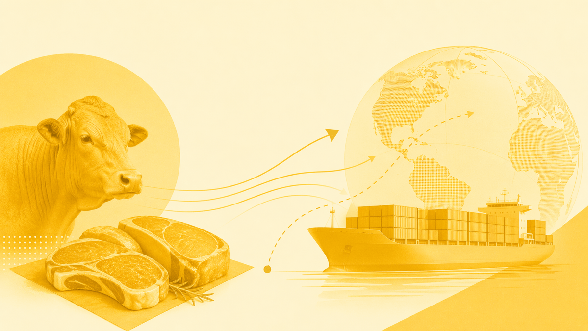 Brasil e Austrália buscam aumentar exportações de carne para a China