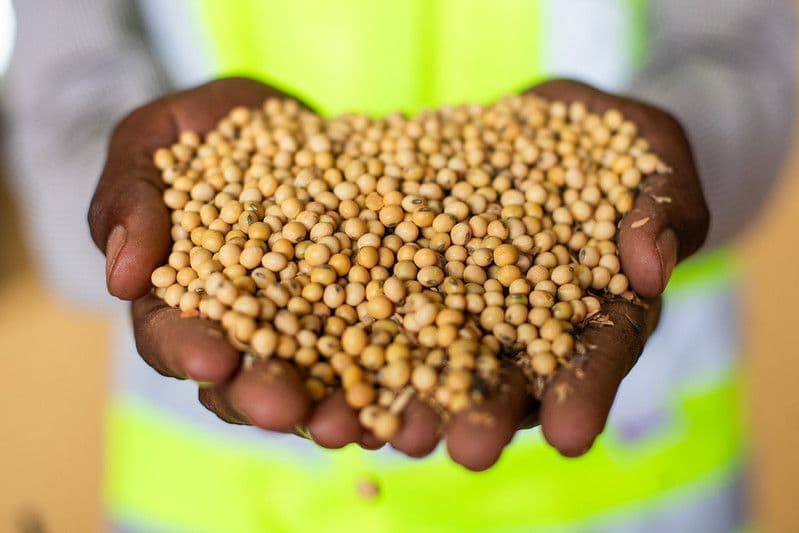 Mercado de grãos em alta após queda nos estoques americanos