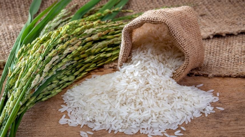 Ciclo do arroz irrigado: impacto no planejamento da lavoura