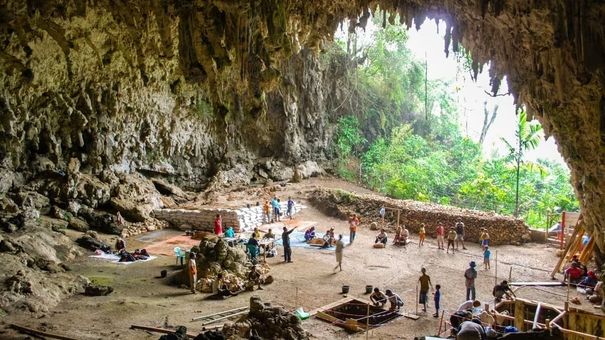 Para pesquisadores, hobbits pré-históricos eram necrófagos