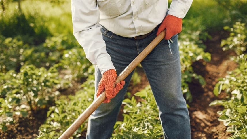 Agronegócio brasileiro atinge 28,4 milhões de trabalhadores em 2025