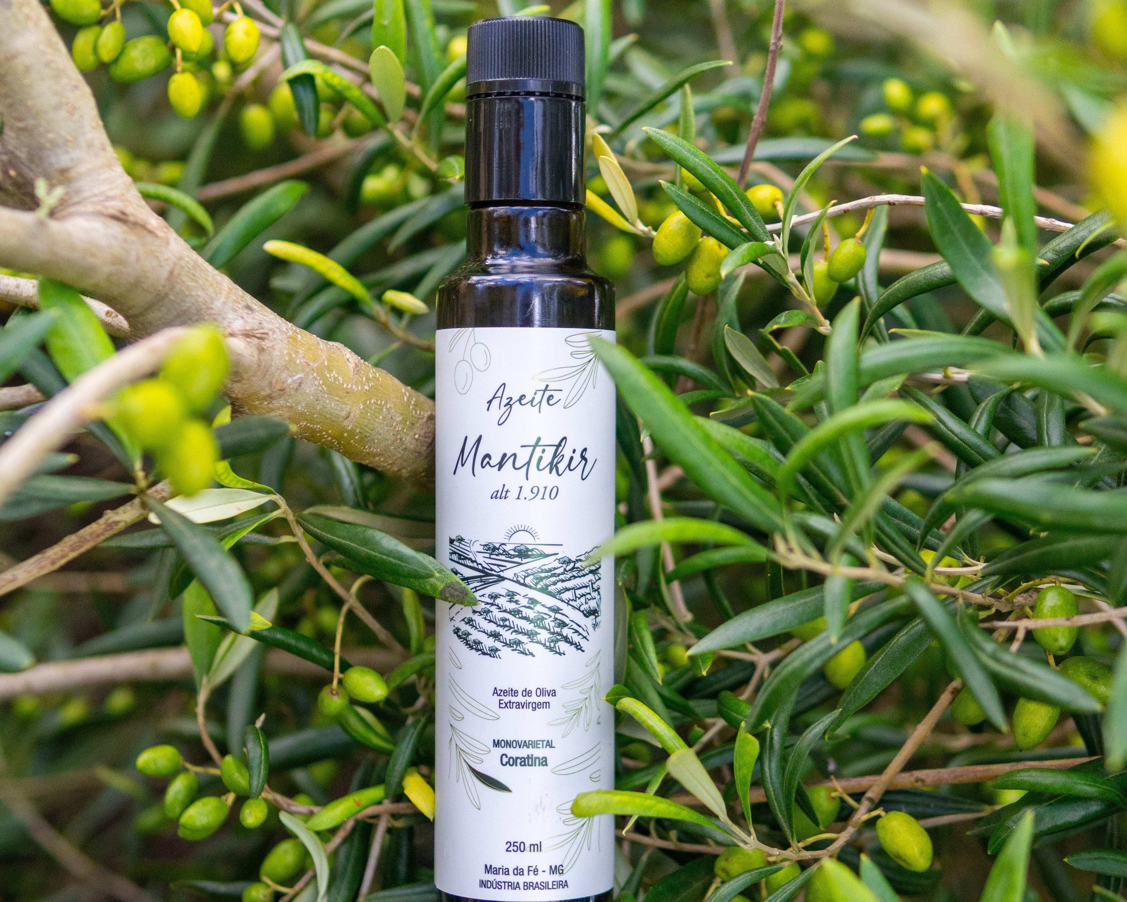 Azeite Mantikir Coratina é eleito o melhor do Brasil em 2026