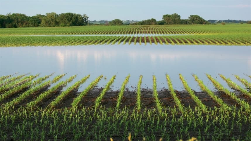 Impacto das chuvas excessivas na realização de trabalhos em campo