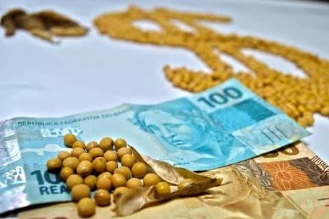 Mercado de soja no Brasil apresenta estabilidade em preços e negociações limitadas