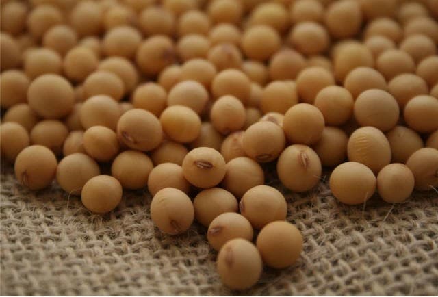 China aumenta produção de soja para reduzir importações brasileiras