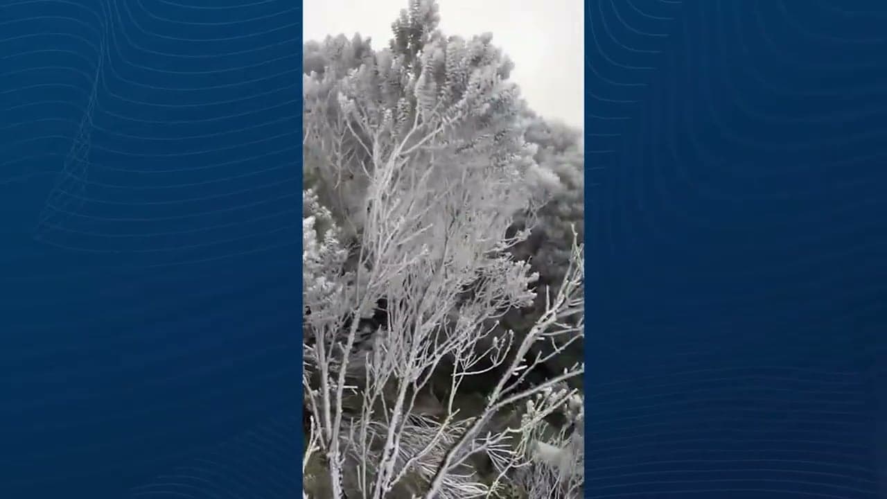 Sul do Brasil enfrenta frio intenso e geada histórica