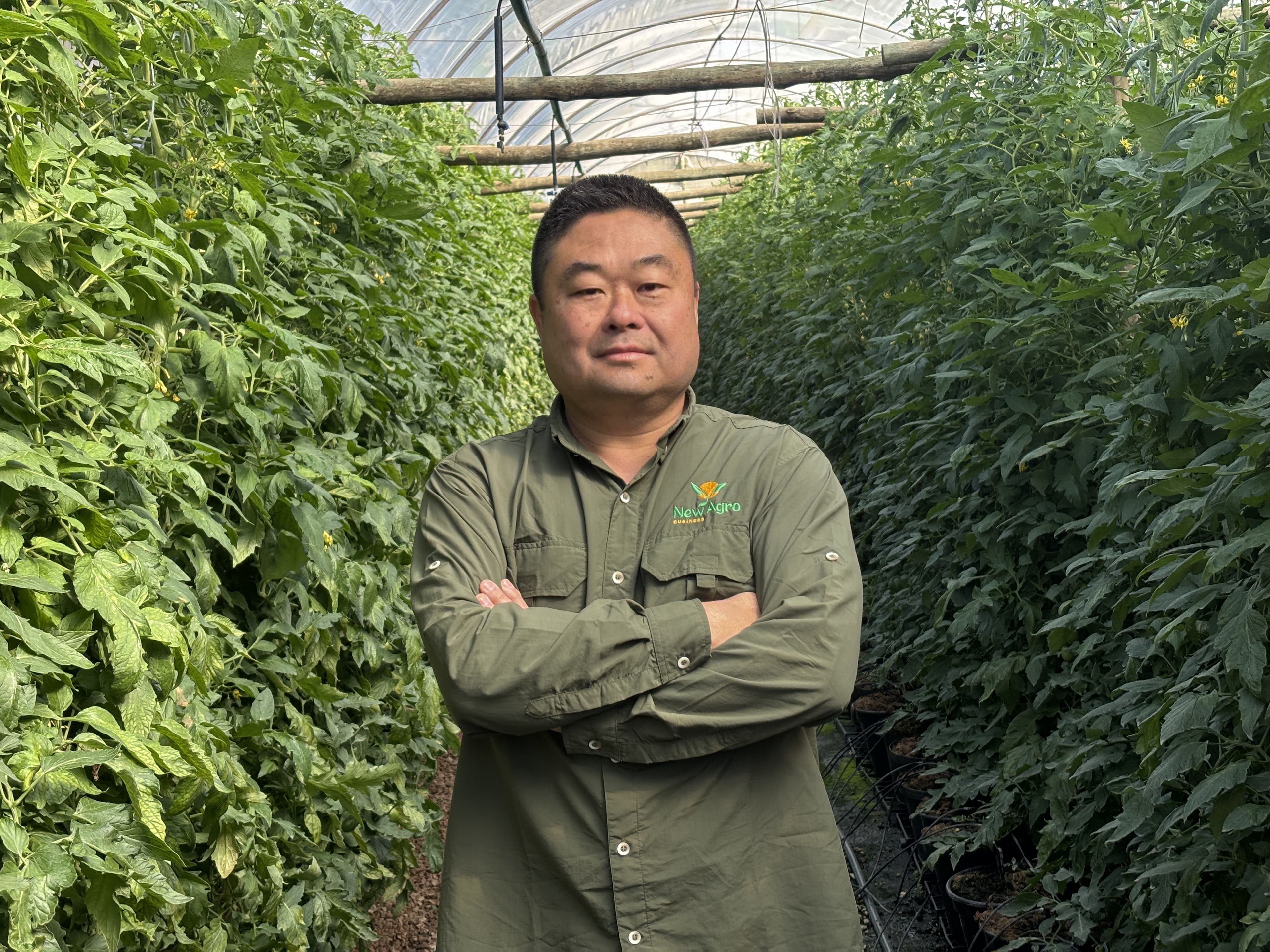 Mikami Agrobusiness inova e reduz intermediários na produção de hortifrúti