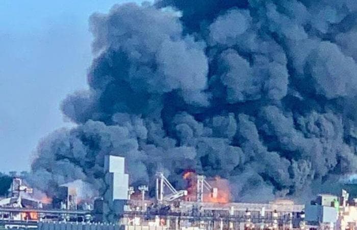 Guerra no Mar Negro impacta mercado de grãos e preços no Brasil