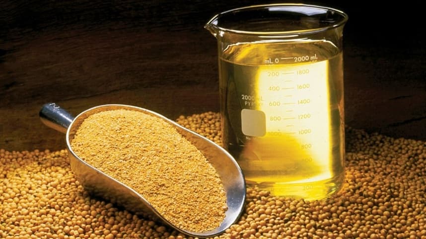 Mercados agrícolas têm dia misto devido a fatores internacionais