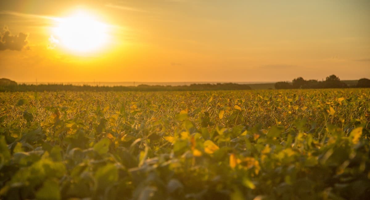 Previsão indica calor acima da média no centro-sul do Brasil