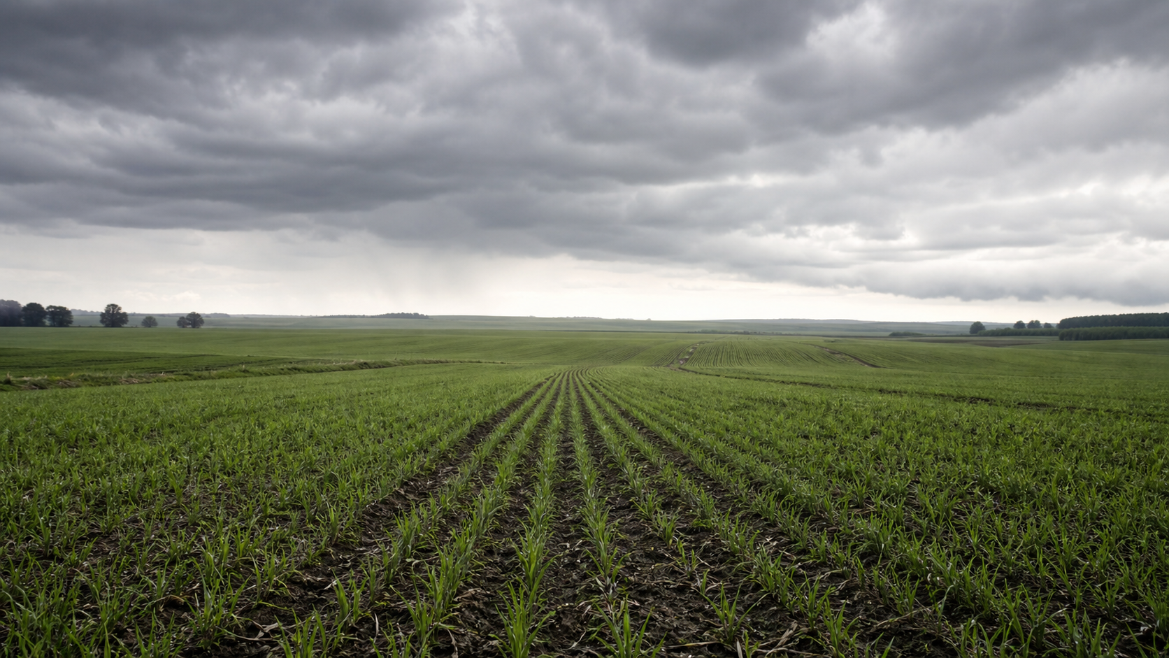 El Niño eleva preocupações de produtores na Região Sul em 2026