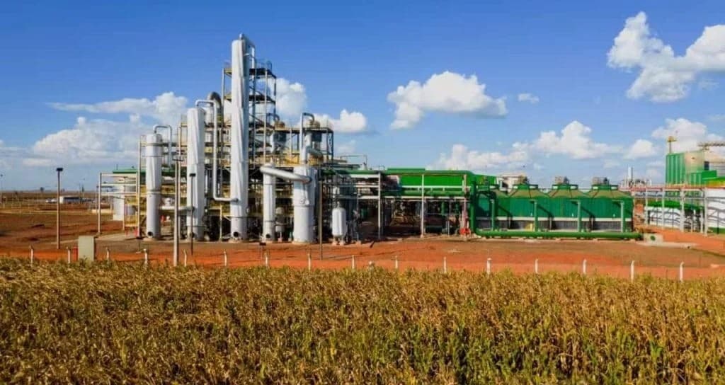 Mato Grosso prorroga metas para uso de vegetação nativa na indústria