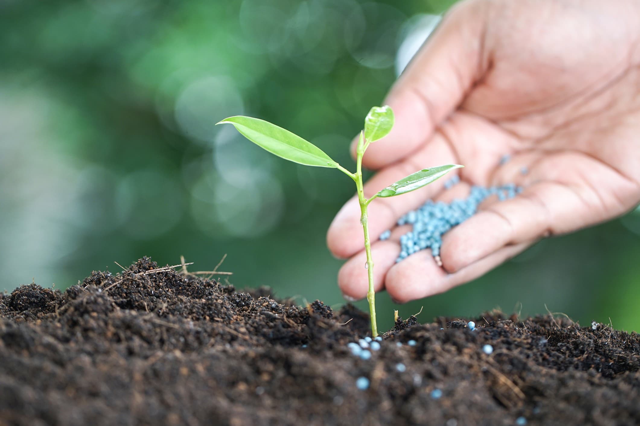 Propostas para reduzir dependência de fertilizantes dominam planos de governo