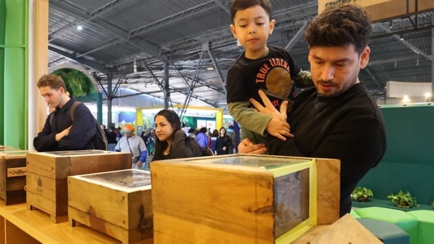 Exposição destaca abelhas nativas na 49ª Expointer