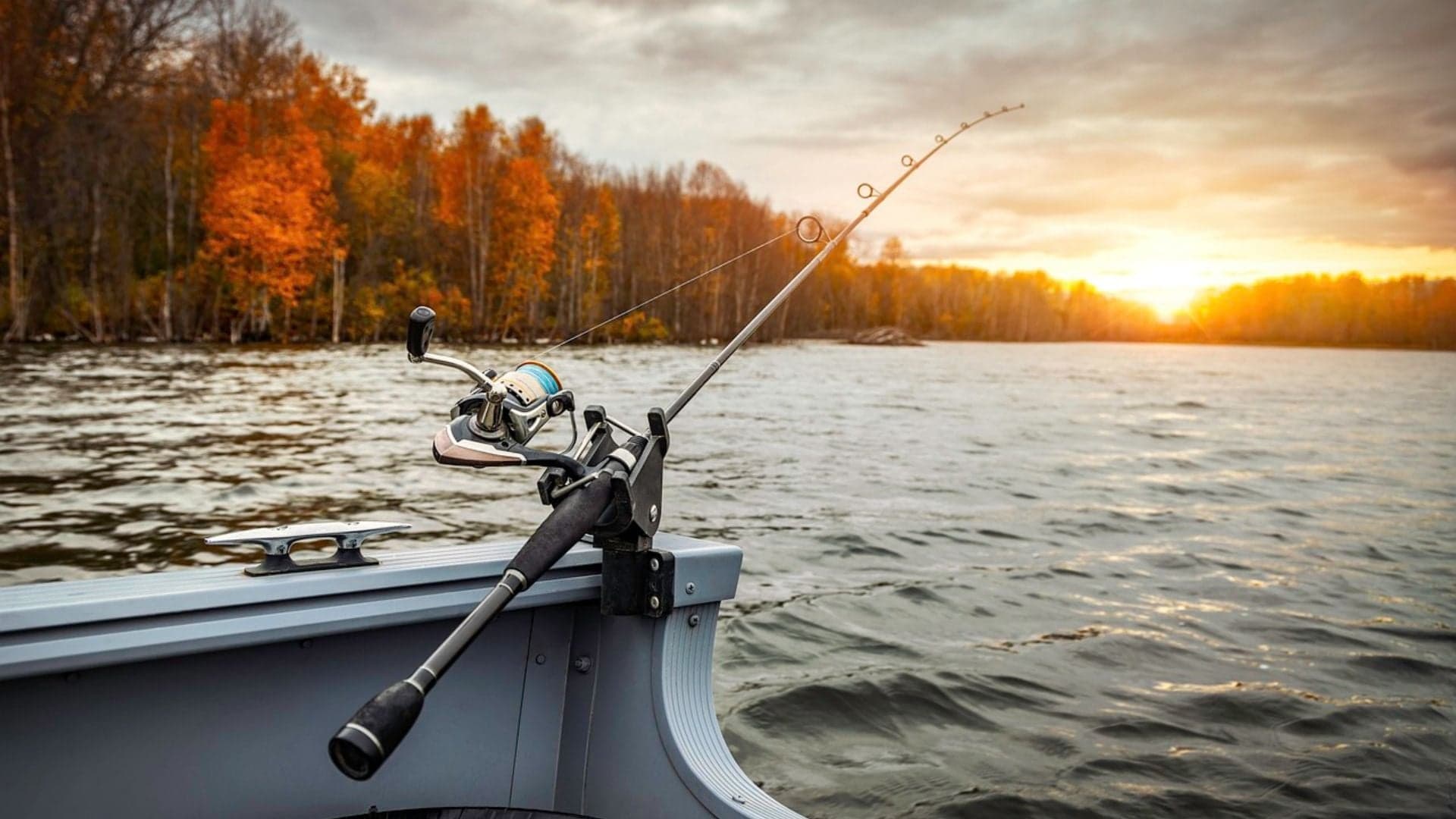 Consulta pública sobre normas de pesca amadora e esportiva está aberta