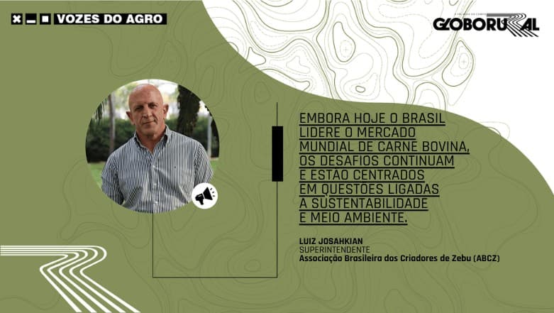 Pecuária brasileira se destaca globalmente enquanto Argentina estagna