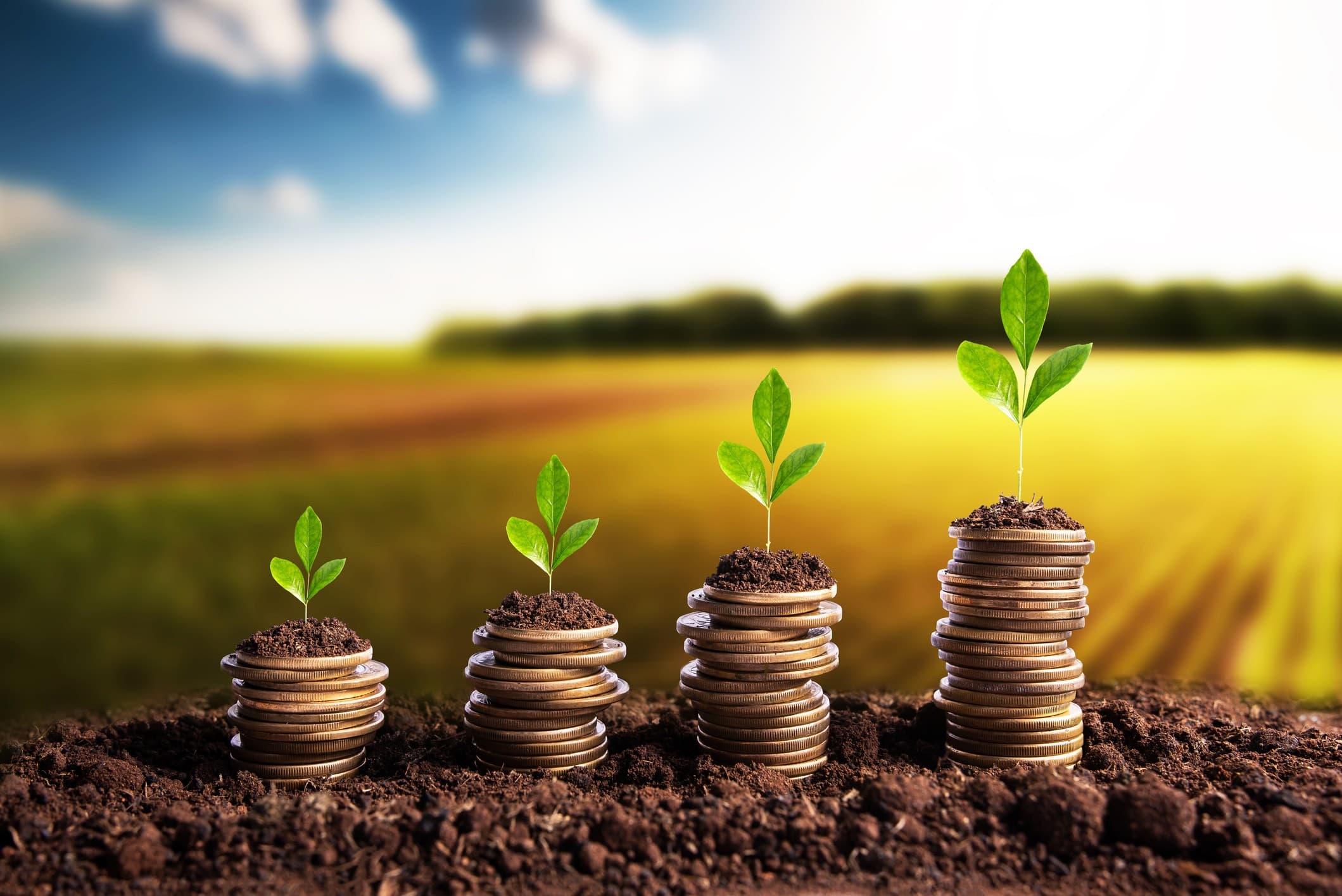 Endividamento no agronegócio alcança novos patamares em 2026