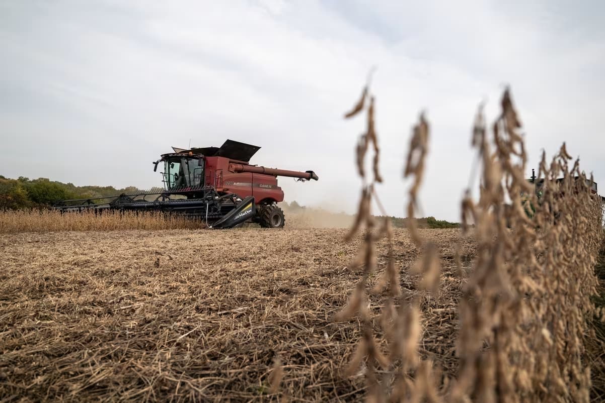 Aumento do petróleo impacta preços das commodities agrícolas