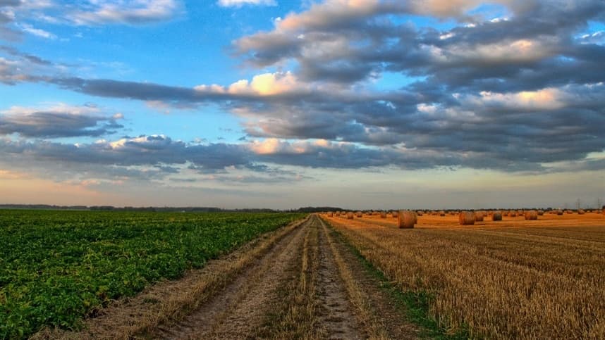 Possível mudança no setor agrícola europeu devido a protesto de agricultores