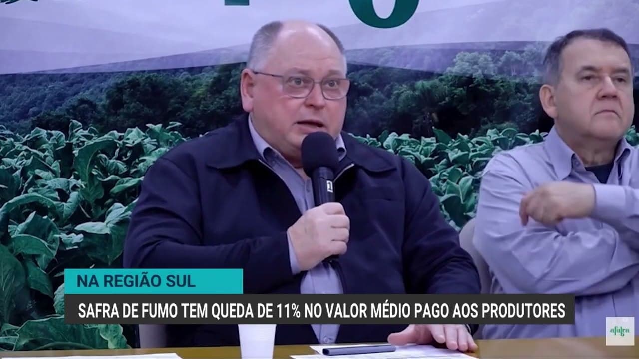 Produção de tabaco em 2025/2026 é estável, mas preços caem