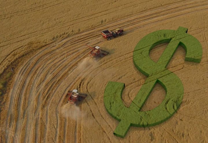 Crédito rural empresarial cresce 10% e chega a R$ 404 bilhões