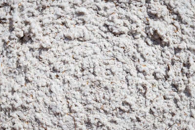 Preços do algodão disparam impulsionados por fatores internacionais