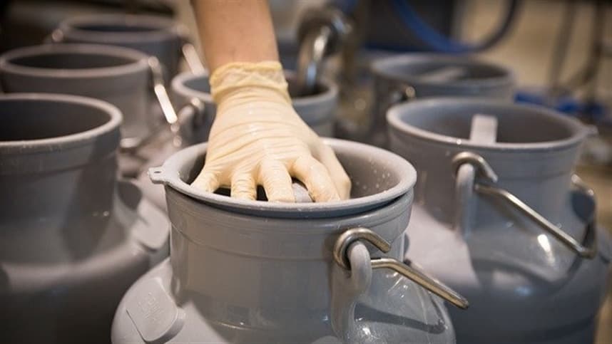 Preços do leite sobem em fevereiro, mas ainda têm queda anual