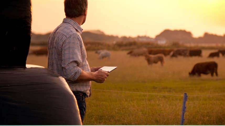 Mercados agrícolas globais em alta devido a tensões geopolíticas