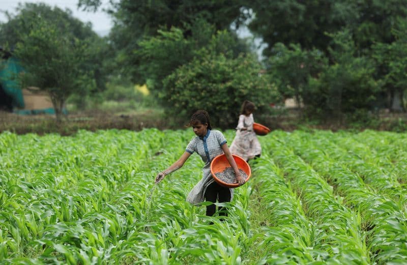 EUA alertam G20 sobre crise de fertilizantes e insegurança alimentar