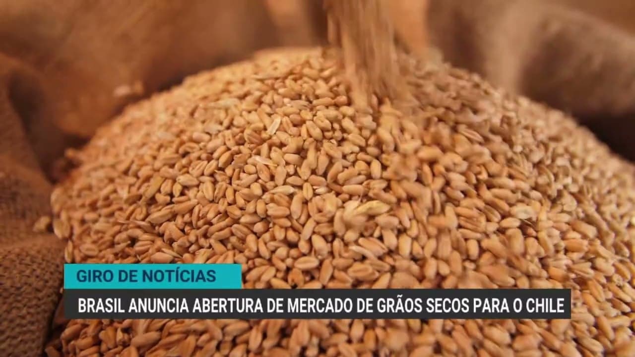 Brasil finaliza acordo para exportação de DDG ao Chile