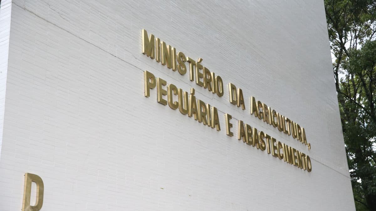 Brasil excluído de importações de carne pela União Europeia